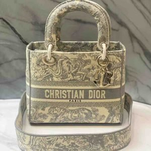 Christian Dior Lady D-Lite Embroidered Bag
