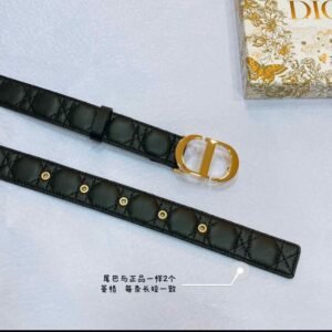 Christian Dior 30 Montaigne Belt