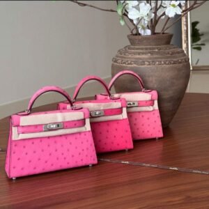 Hermes Kelly Sellier 20 Ostrich Palladium Hardware