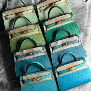 Hermes Kelly Bag Ostrich In Mini
