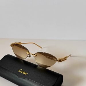 Cartier Clash De Cartier Cat-Eye Sunglasses